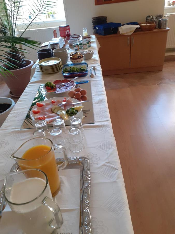 瑙吉考尼饶Oazis Panzio住宿加早餐旅馆 外观 照片
